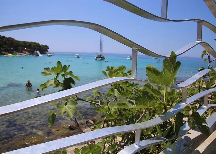 Bervida * מורטר